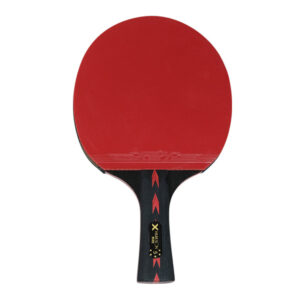 Vợt bóng bàn Huieson X 5 sao