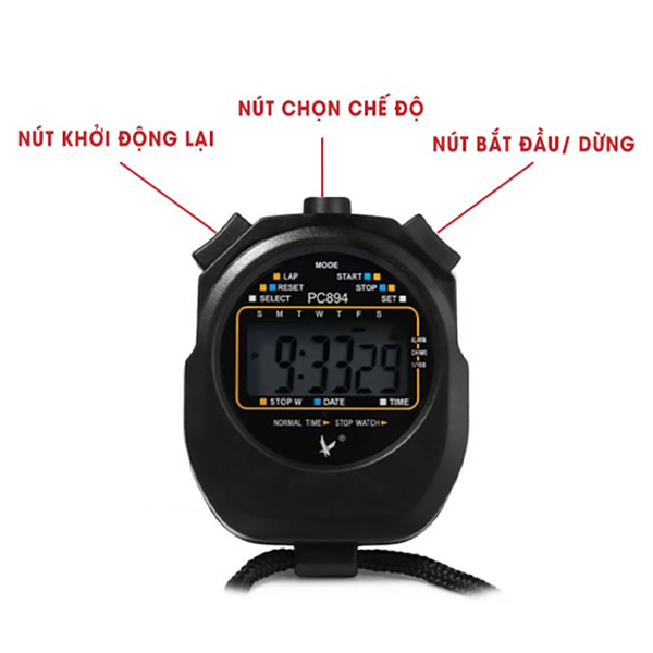Đồng Hồ Bấm Giây PC894 2 Dong ho bam giay PC894 la dung cu do thoi gian nho gon